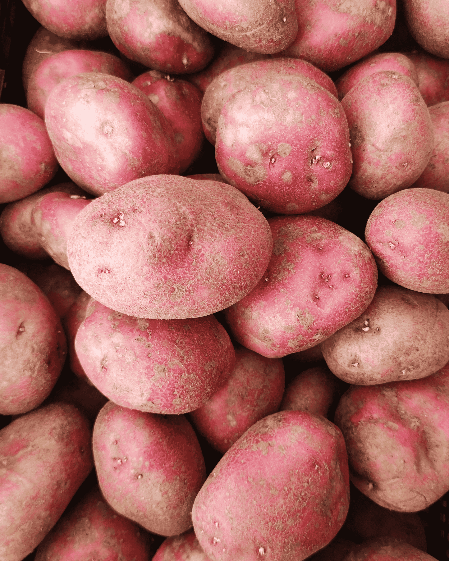 Red New Potatoes – Pound
