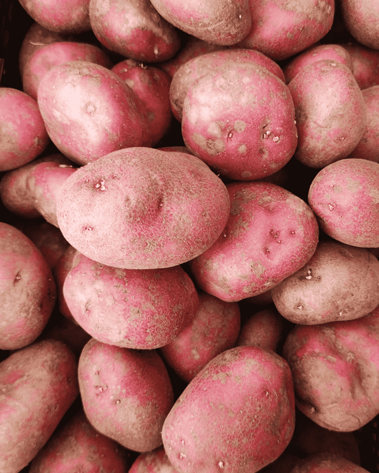 A close-up pile of red potatoes with dusty pinkish-red skins filling the frame.