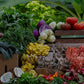 Winter Season CSA - Nov 5th, 2024 to Jan 28th, 2025