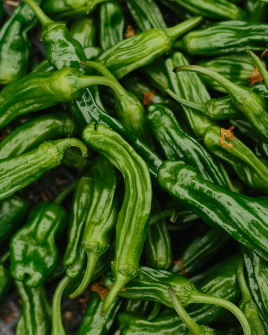Shishito Peppers – Half Pound
