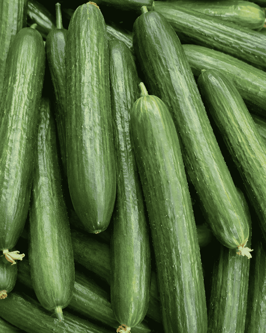 A close-up pile of fresh green cucumbers filling the frame, with visible stems and natural ribbing.