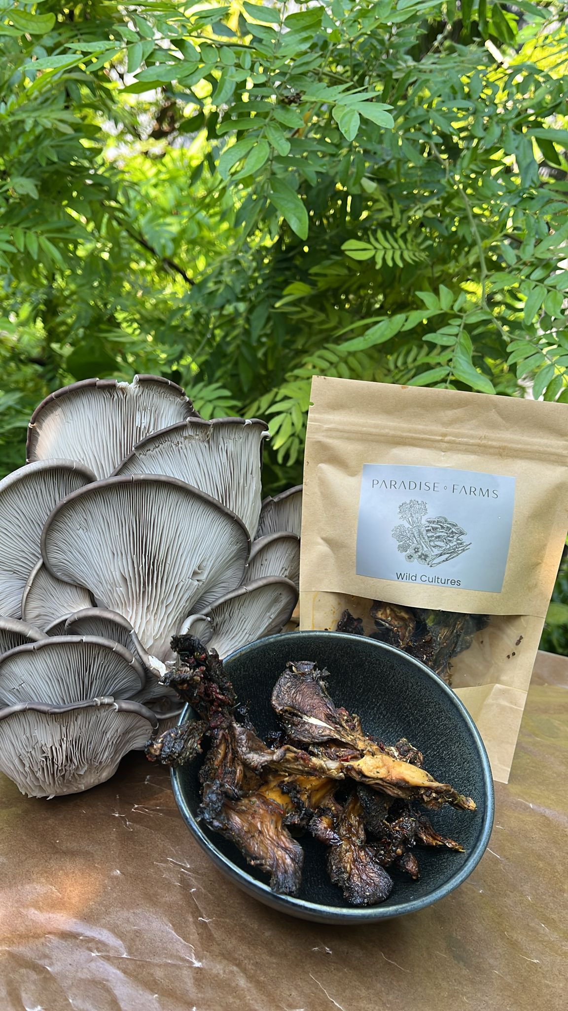 Jerky Garden Mushroom