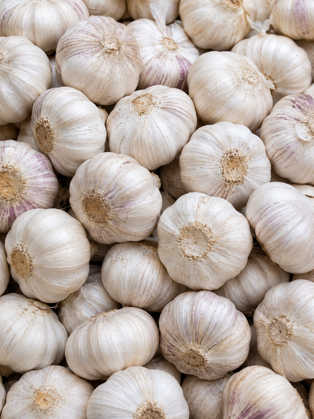 A close-up pile of whole garlic bulbs with pale ivory to off-white papery skins and subtle purple streaks, filling the frame.