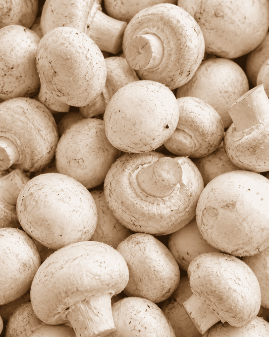 White Mushrooms