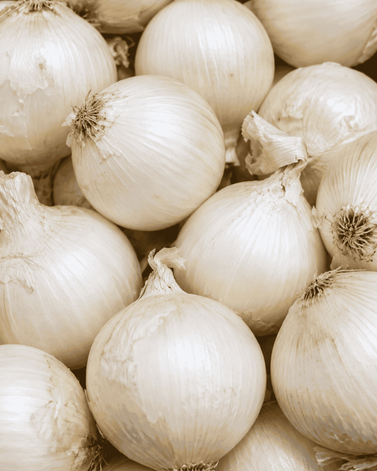 White Onion