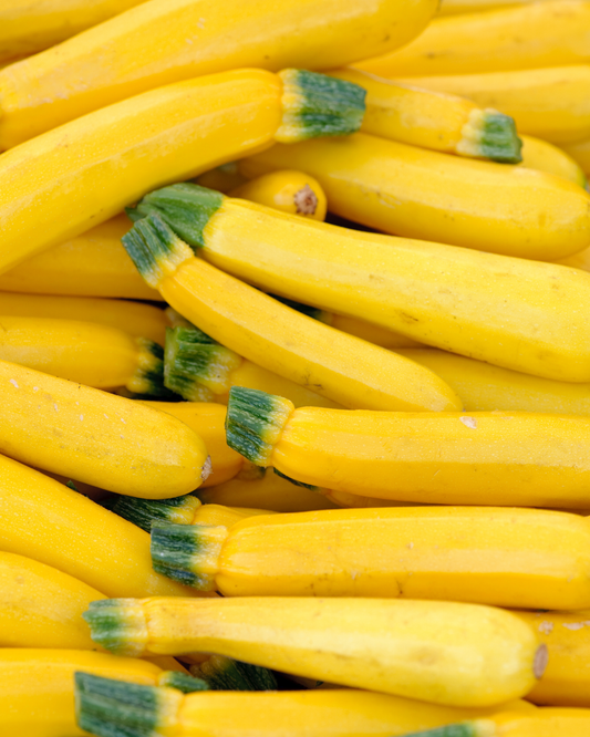 Yellow Straightneck Squash