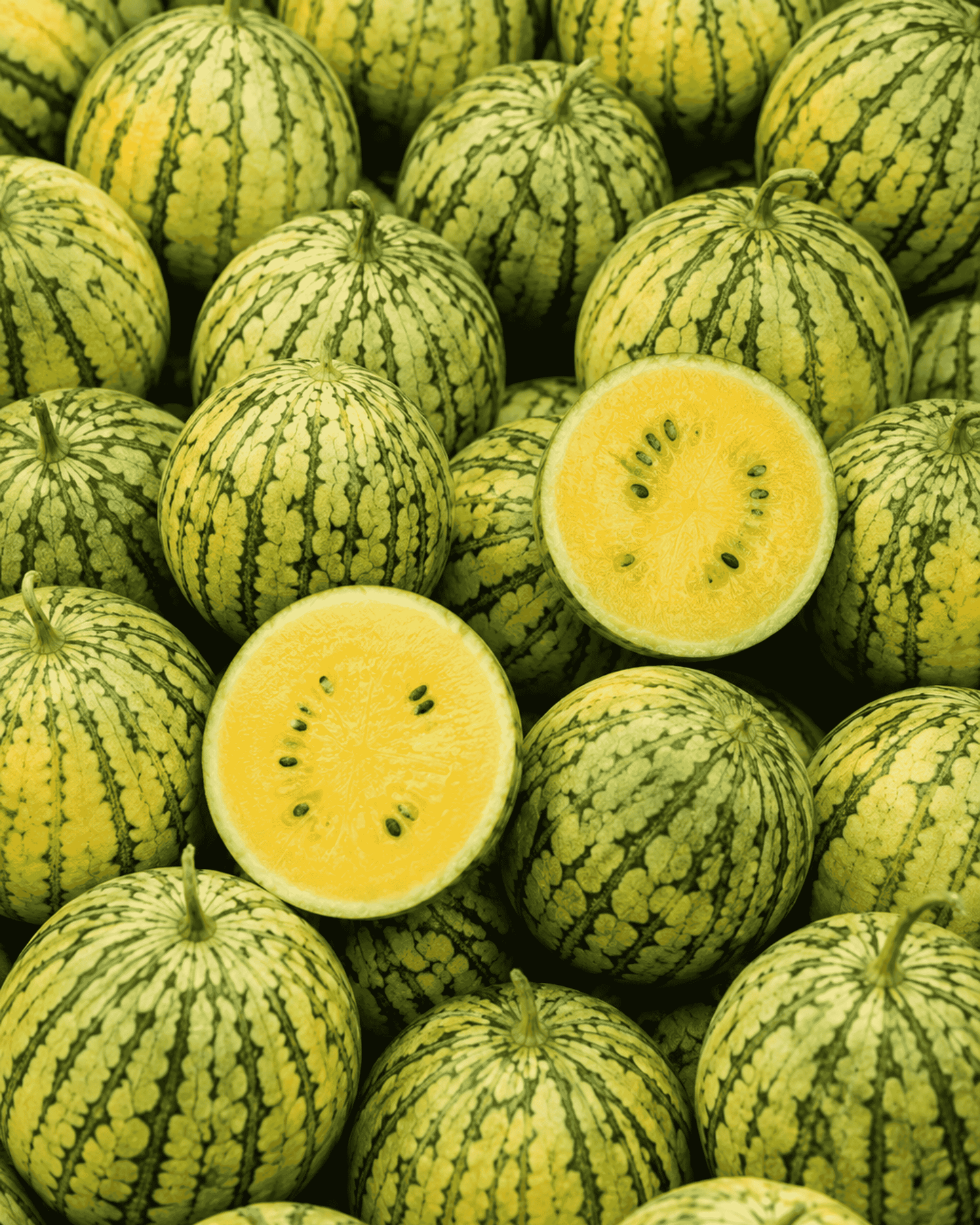 Yellow Doll Watermelon