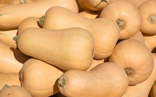 Butternut Squash