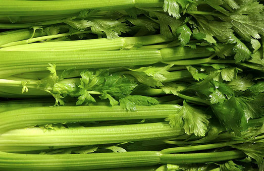 Celery (ea)