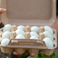 Paradise Farms Eggs (dz)