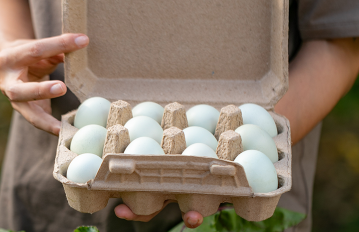 Paradise Farms Eggs (dz)