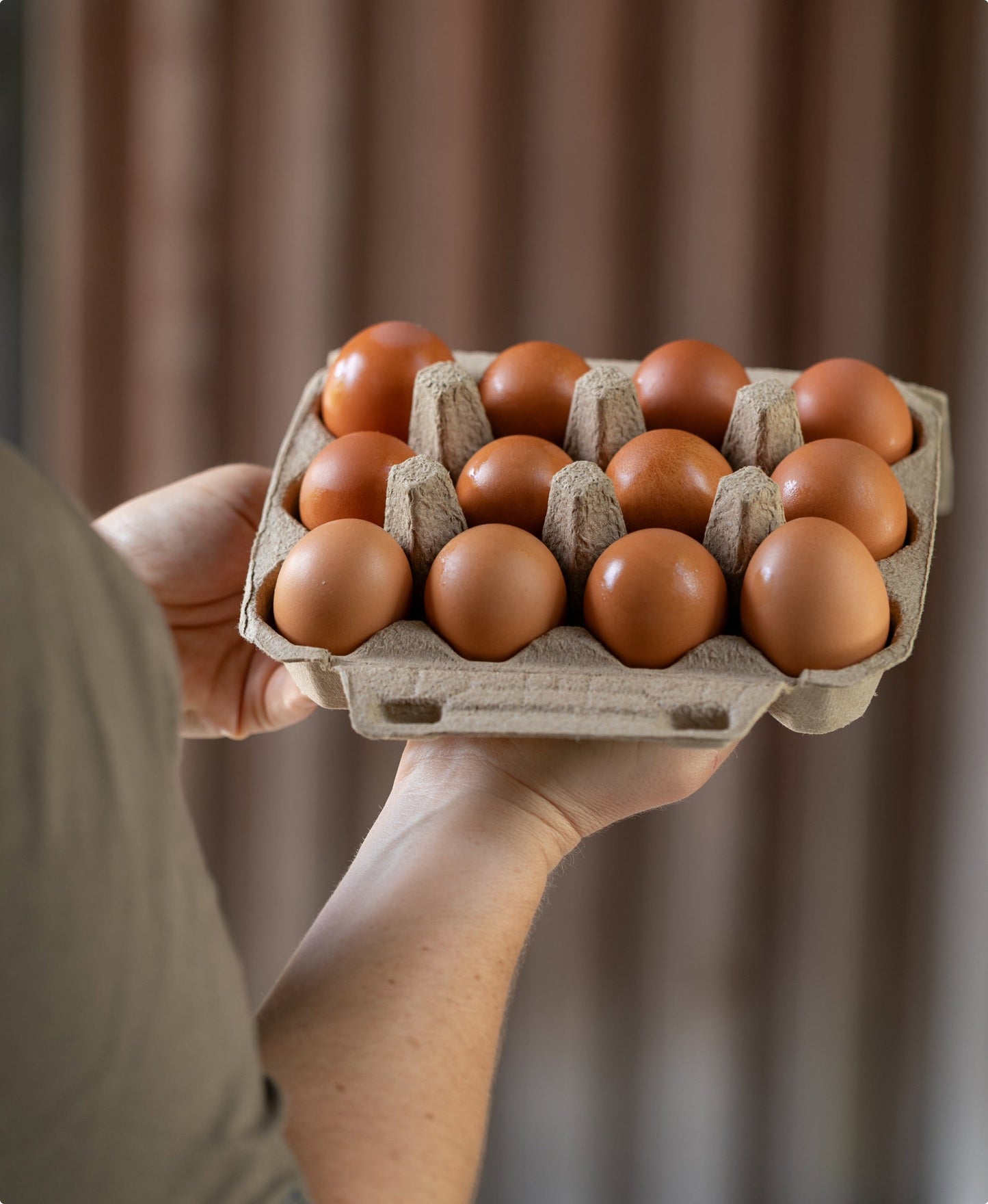 Farm Fresh Eggs (Dz)