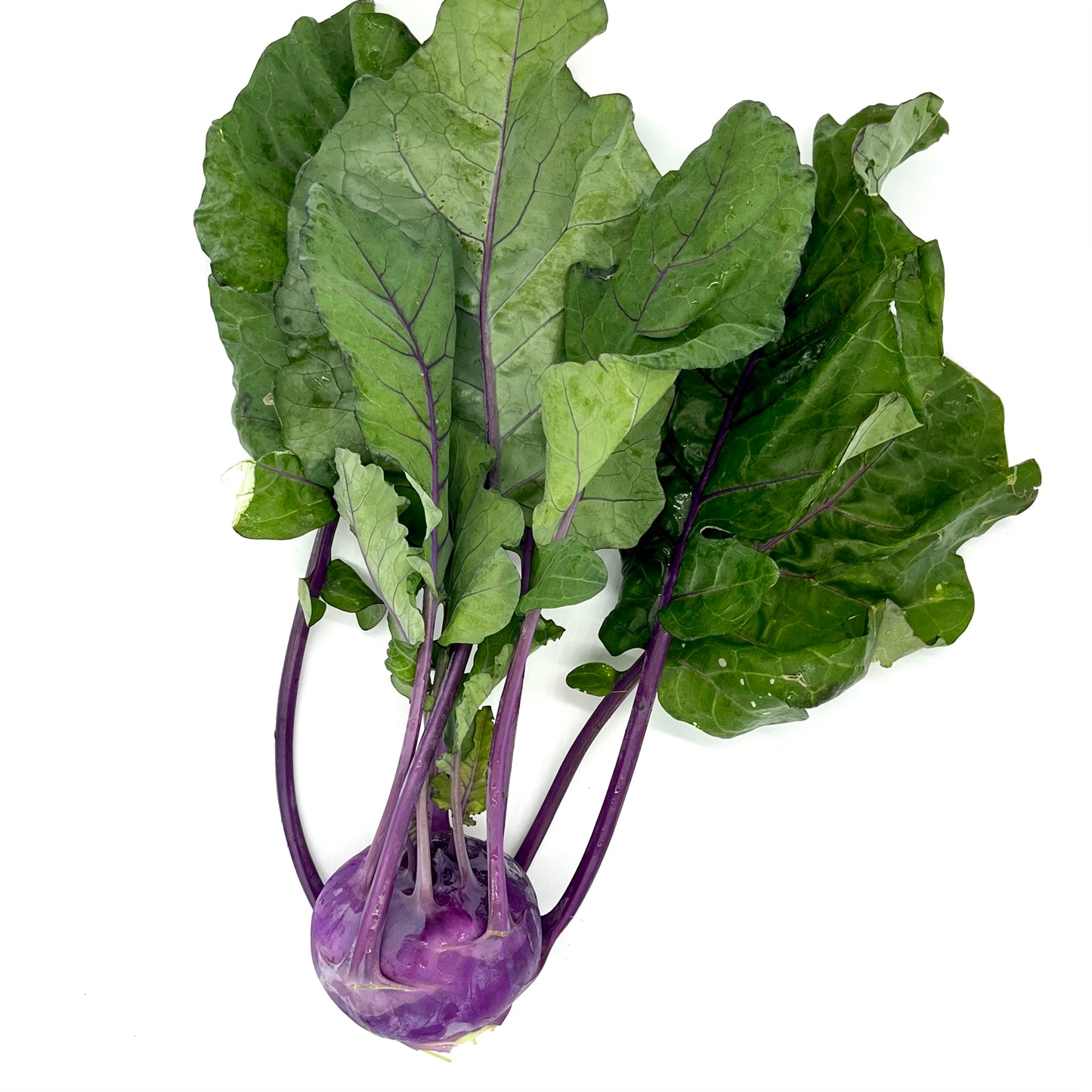 Kohlrabi (bunch)