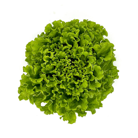 Lettuce (head) BOGO