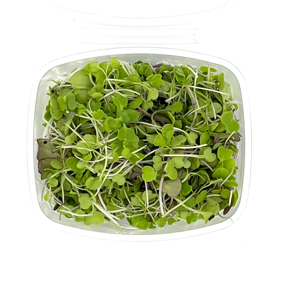 PF Microgreens Paradise Blend (ea)