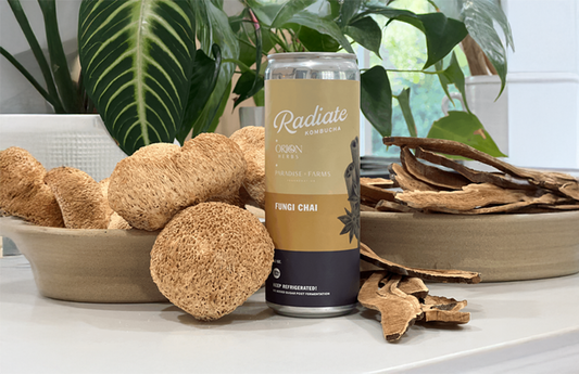 Radiate Kombucha (Chai)