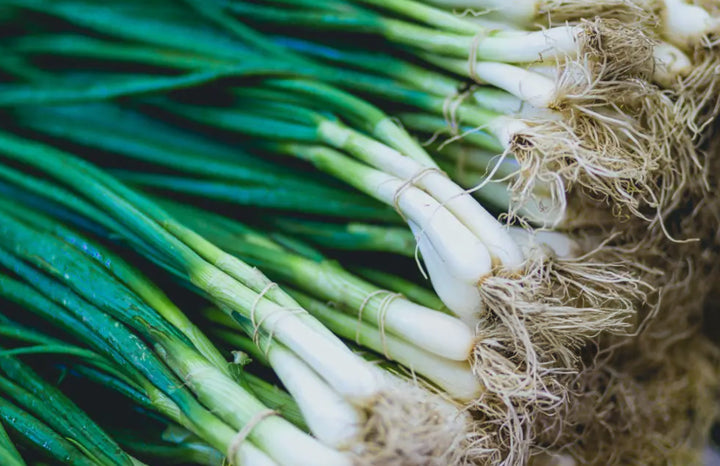 Green Onion