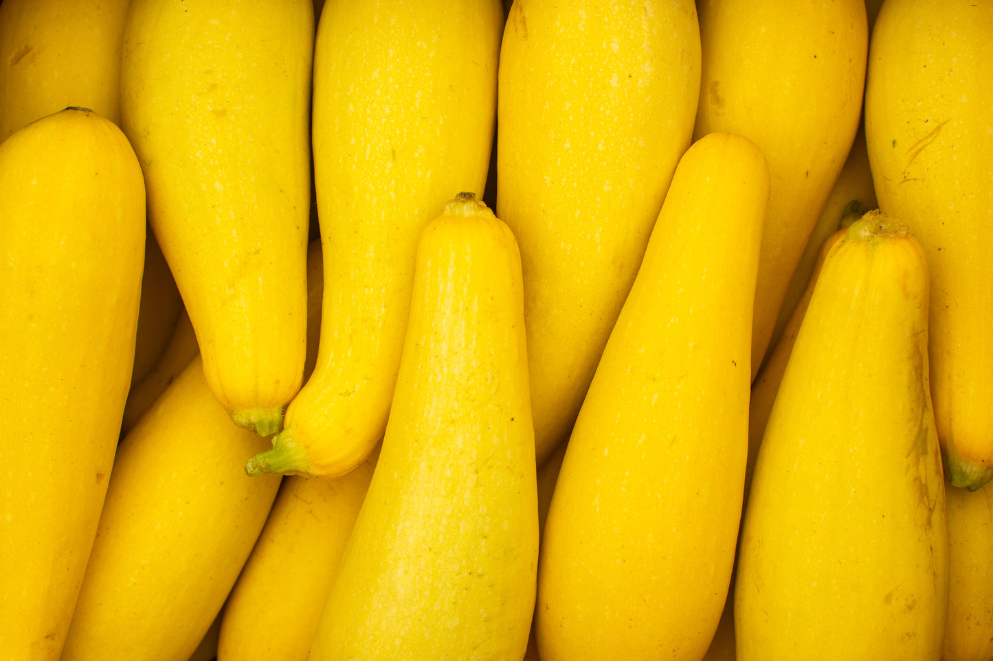 Yellow Squash, BROKERED (each)